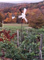 windmill